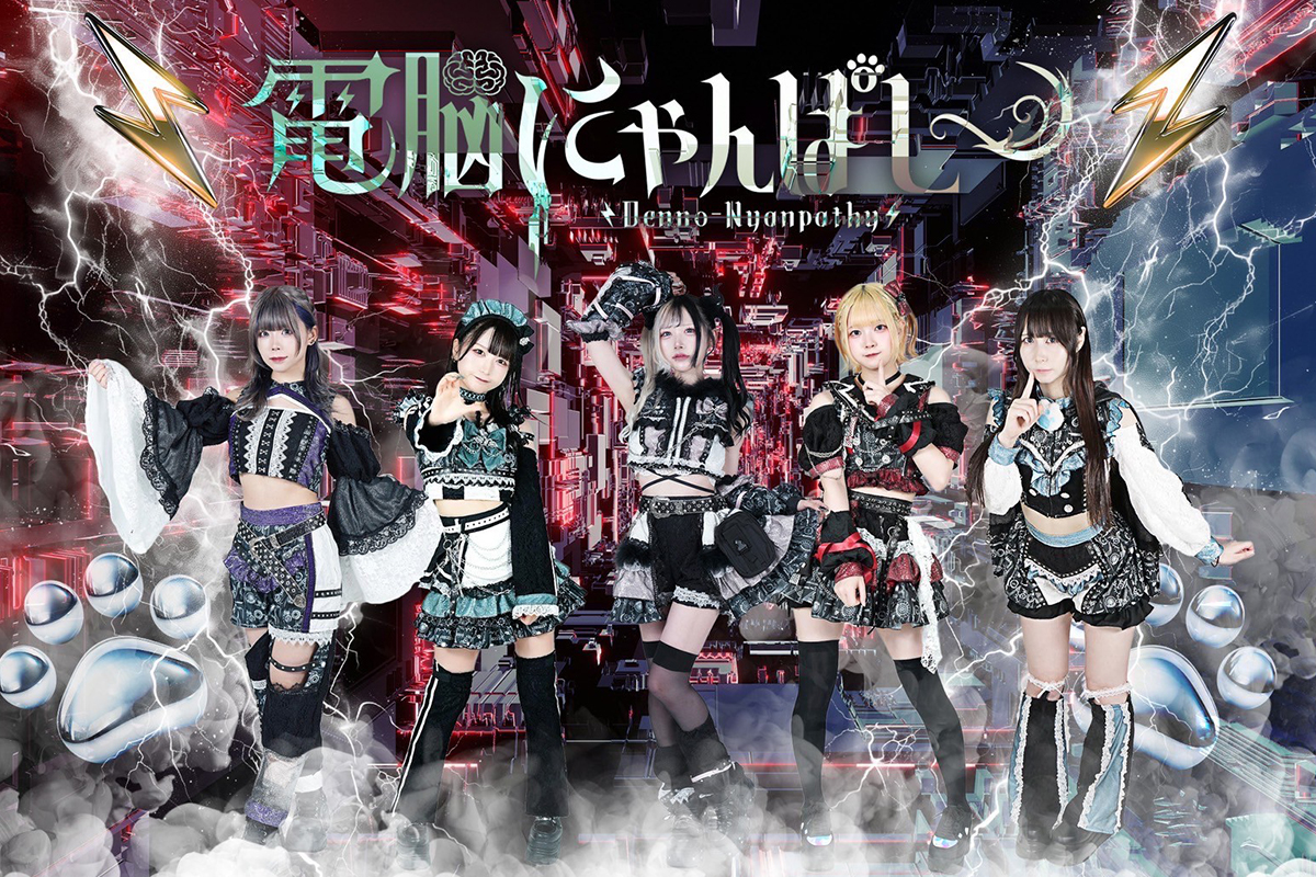 電脳にゃんぱしー